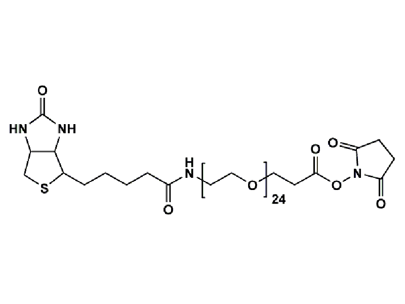 Monodispersed Poly(Ethylene Glycol) from PurePEG:(+)-Biotin-PEG24-NHS Ester - MSE Supplies LLC