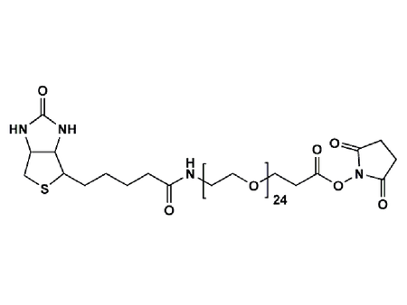 Monodispersed Poly(Ethylene Glycol) from PurePEG:(+)-Biotin-PEG24-NHS Ester - MSE Supplies LLC