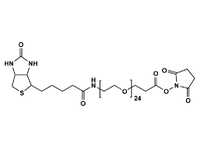 Monodispersed Poly(Ethylene Glycol) from PurePEG:(+)-Biotin-PEG24-NHS Ester - MSE Supplies LLC
