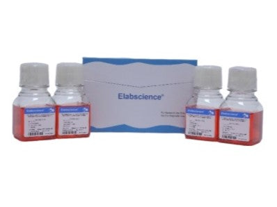 293[HEK-293] Cells Complete Medium, Cell Culture, Elabscience Biotechnology, MSE Supplies