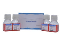 293[HEK-293] Cells Complete Medium, Cell Culture, Elabscience Biotechnology, MSE Supplies