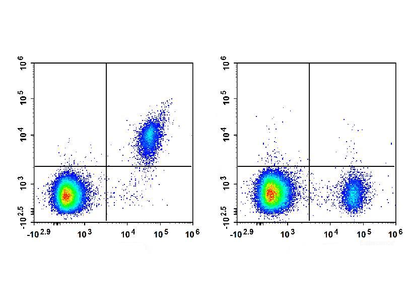 APC Anti-Human CD123 Antibody[HI12H7], Biomarkers, Elabscience Biotechnology, MSE Supplies