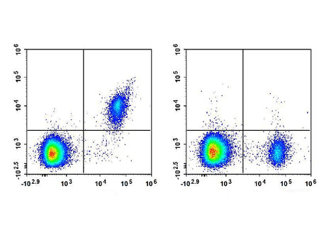 APC Anti-Human CD123 Antibody[HI12H7], Biomarkers, Elabscience Biotechnology, MSE Supplies