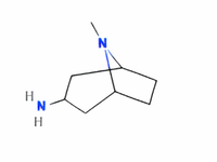 MSE PRO 8-Methyl-8-azabicyclo[3.2.1]octan-3-amine, 98.0% Purity - MSE Supplies LLC