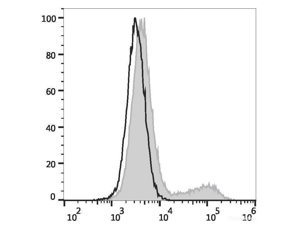 PE Anti-Human IL-17A Antibody[BL168], Biomarkers, Elabscience Biotechnology, MSE Supplies