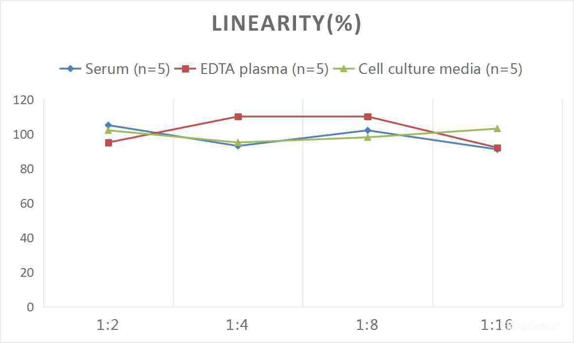 Mouse IFN-γ (Interferon Gamma) CLIA Kit, Cell Assays, Elabscience Biotechnology, MSE Supplies