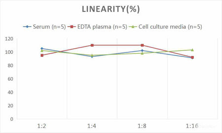 Mouse IFN-γ (Interferon Gamma) CLIA Kit, Cell Assays, Elabscience Biotechnology, MSE Supplies