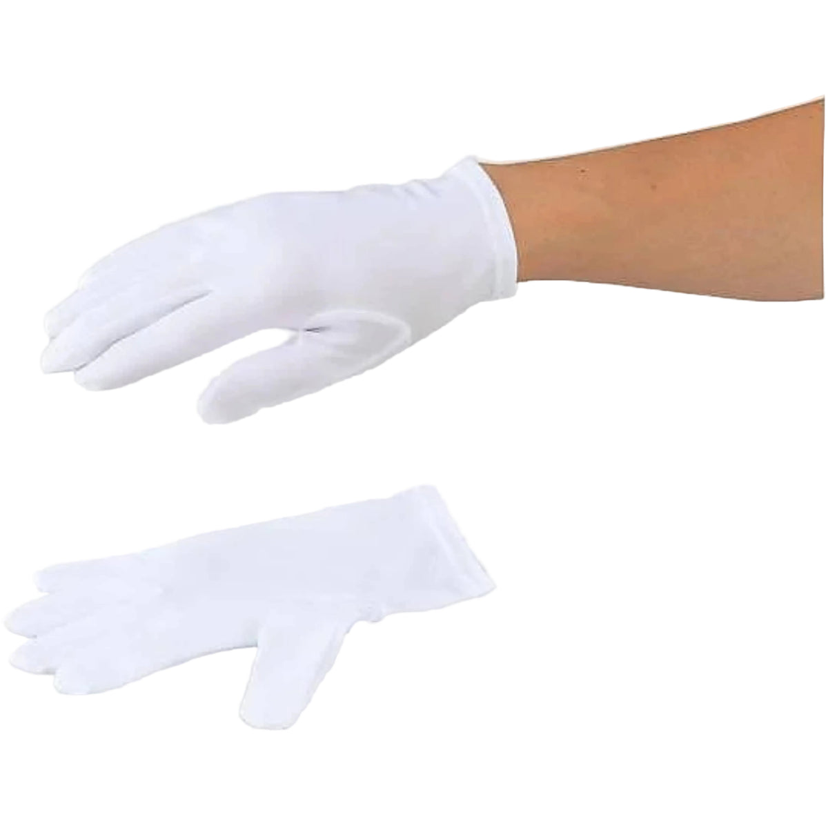 ASPURE Dust-Free Gloves Woolley Nylon L 12 Pairs