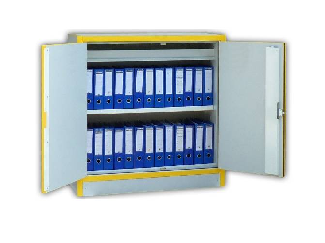 Ecosafe 2- Door Working Cover Safety Cabinet - Type 30 - For Documents - MSE Supplies LLC