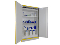 Ecosafe 2 Doors Safety Cabinet Type 30 - MSE Supplies LLC