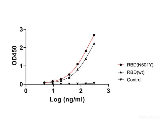 Recombinant SARS-CoV-2 Spike RBD (N501Y) (His Tag) - MSE Supplies LLC