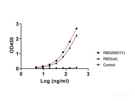 Recombinant SARS-CoV-2 Spike RBD (N501Y) (His Tag) - MSE Supplies LLC