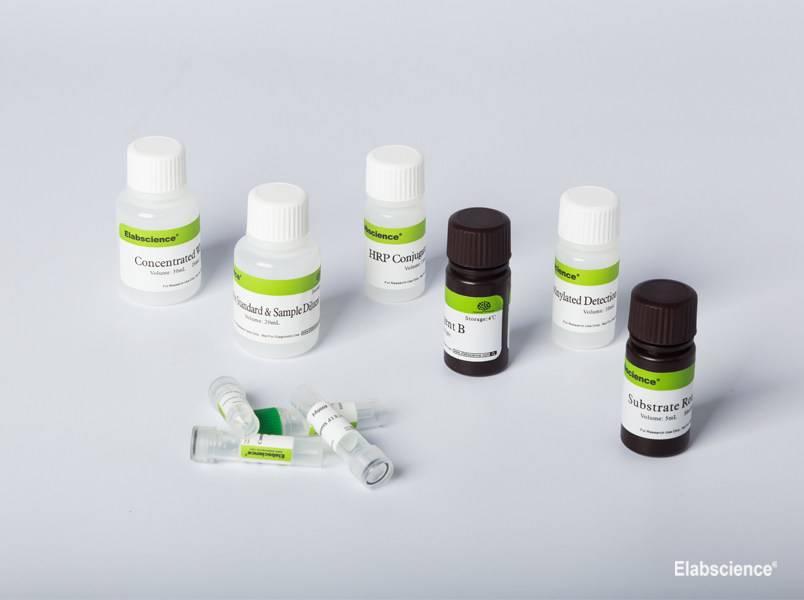 Mouse IFN-γ (Interferon Gamma) CLIA Kit, Cell Assays, Elabscience Biotechnology, MSE Supplies