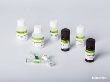Mouse IFN-γ (Interferon Gamma) CLIA Kit, Cell Assays, Elabscience Biotechnology, MSE Supplies