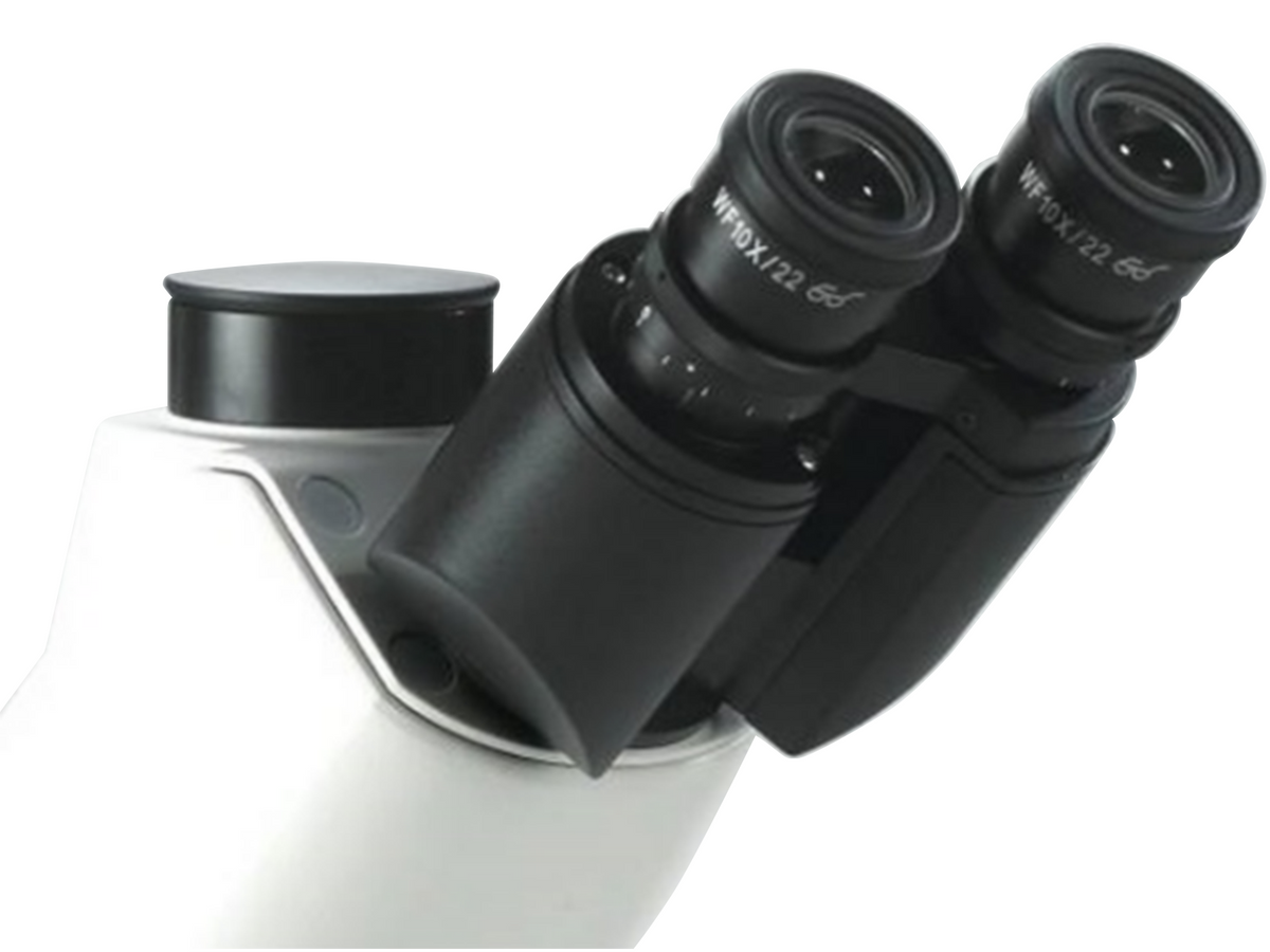 MSE PRO 50X-1000X IMM-01 Inverted Metallurgical Microscope, Histology Equipment, MSE Supplies LLC, MSE Supplies