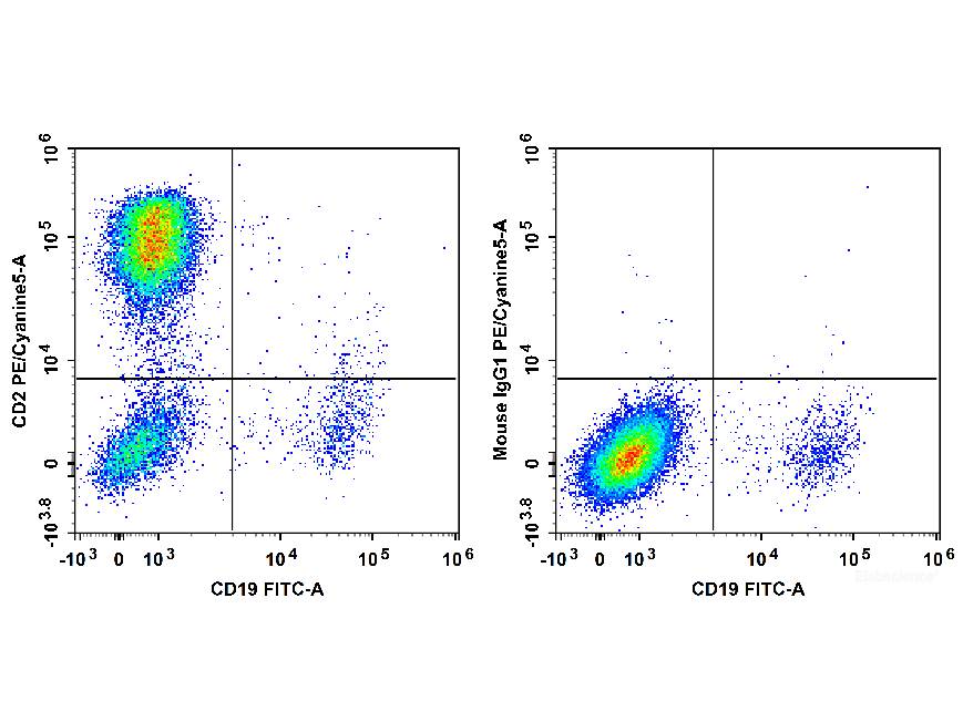 PE/Cyanine5 Anti-Human CD2 Antibody[RPA-2.10], Biomarkers, Elabscience Biotechnology, MSE Supplies