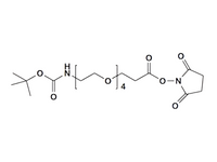 Monodispersed Poly(Ethylene Glycol) from PurePEG:Boc-NH-PEG4-CH2CH2COONHS Ester - MSE Supplies LLC