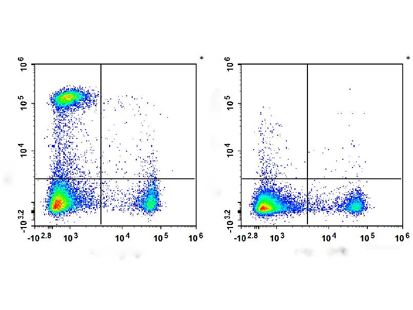 PE/Cyanine7 Anti-Mouse CD4 Antibody[RM4-5], Biomarkers, Elabscience Biotechnology, MSE Supplies
