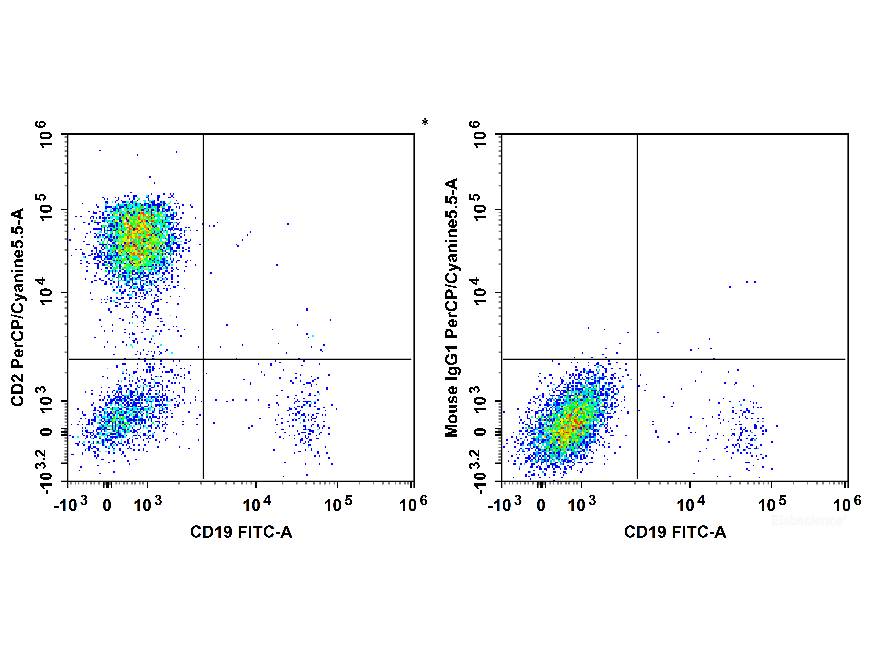 PerCP/Cyanine5.5 Anti-Human CD2 Antibody[RPA-2.10], Biomarkers, Elabscience Biotechnology, MSE Supplies