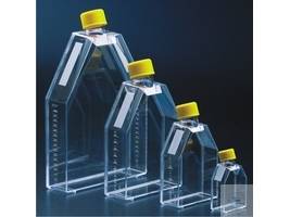 Witeg Tissue Culture Flasks Polystyrene Growth Area 25 cm²