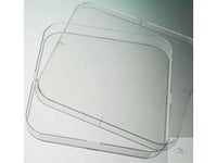 Witeg Bacteriological Petri Dishes 120x120 mm