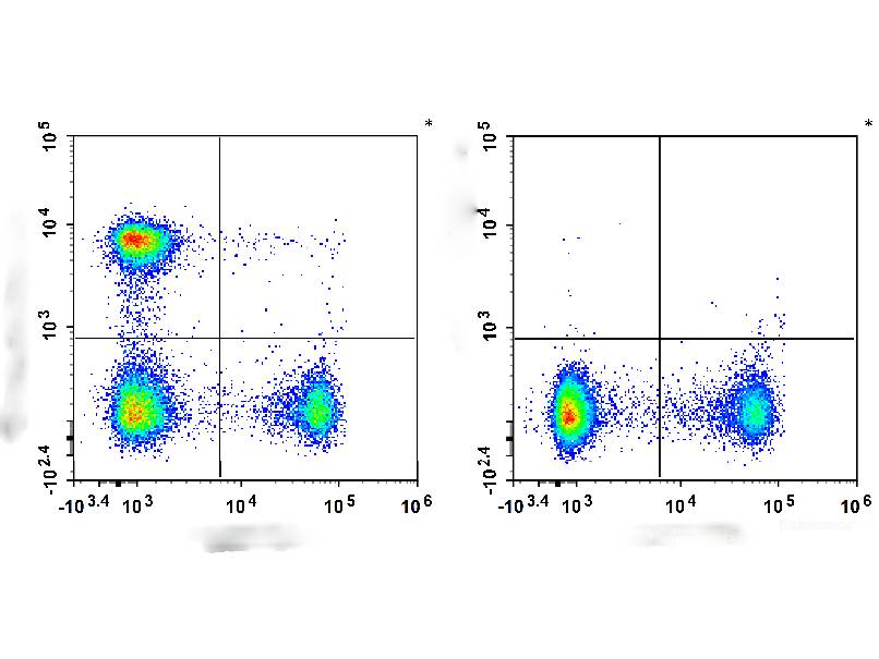 Elab Fluor® Violet 450 Anti-Mouse CD4 Antibody[RM4-5], Biomarkers, Elabscience Biotechnology, MSE Supplies