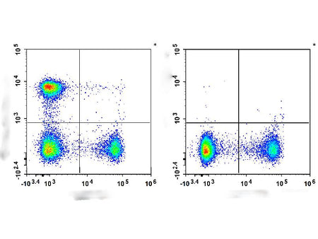 Elab Fluor® Violet 450 Anti-Mouse CD4 Antibody[RM4-5], Biomarkers, Elabscience Biotechnology, MSE Supplies