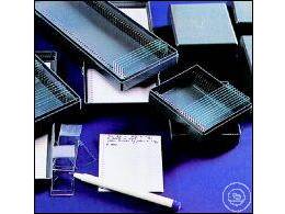 Witeg Storage Boxes PS Slides 230x97x35mm