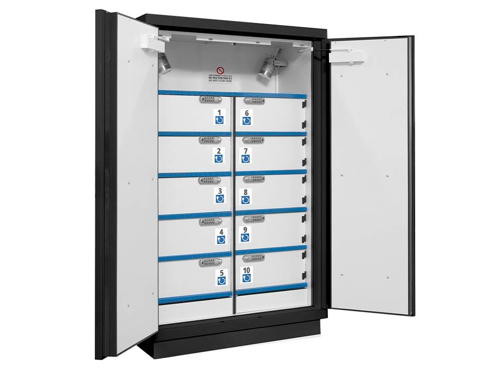 Ecosafe 2 Doors Cabinet with Compartments for the Storage of Lithium ...