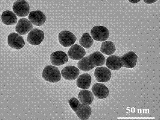 MSE PRO 10mL Silver (Ag) Nanoparticle Water Dispersion, 0.1mg/mL, Chemicals and Compounds, MSE Supplies LLC, MSE Supplies