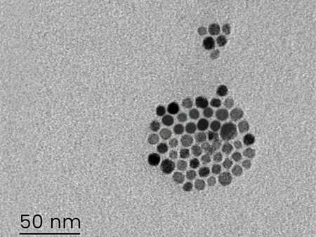 MSE PRO Streptavidin Modified Fe<sub>3</sub>O<sub>4</sub> Nanoparticles Water Solution, 1 mg/mL, Chemicals and Compounds, MSE Supplies LLC, MSE Supplies