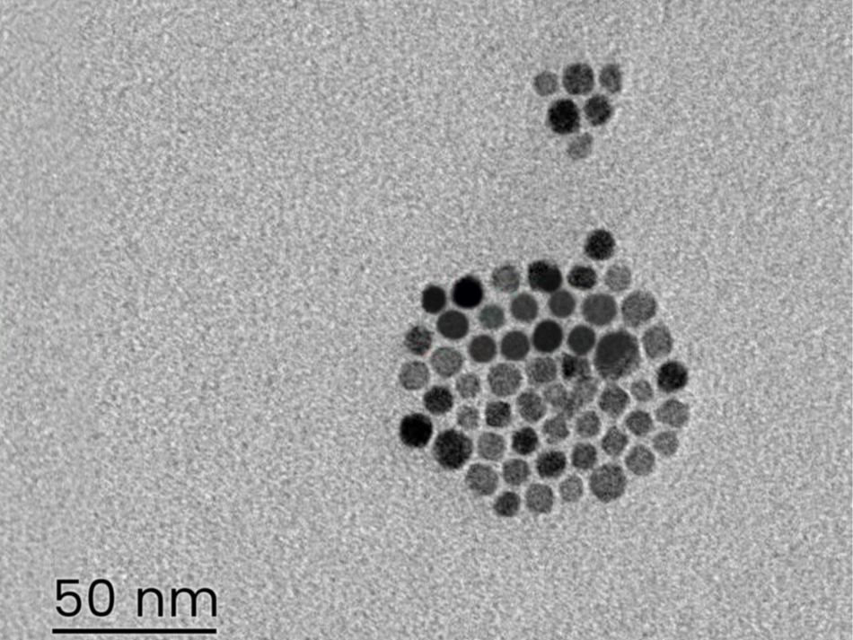 MSE PRO Streptavidin Modified Fe<sub>3</sub>O<sub>4</sub> Nanoparticles Water Solution, 1 mg/mL, Chemicals and Compounds, MSE Supplies LLC, MSE Supplies
