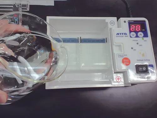 ATTO WSE-1710 Submerge-Mini-Agarose gel electrophoresis system - MSE Supplies LLC