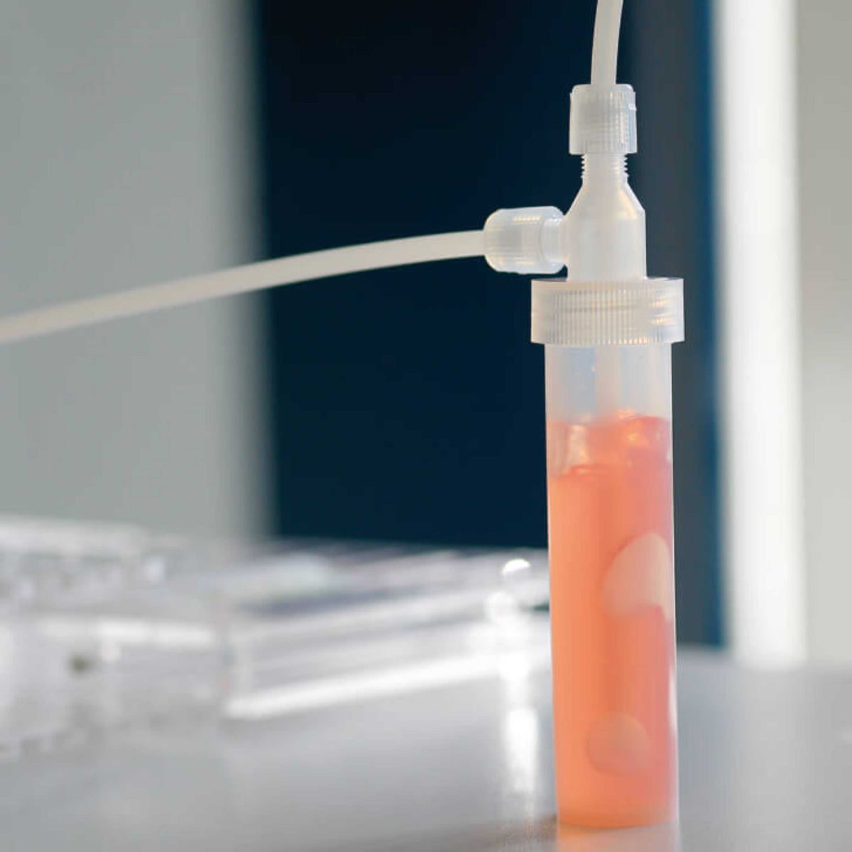 BOLA Micro Scrubber Bottles (PFA ) - 50ml, Ø 6mm