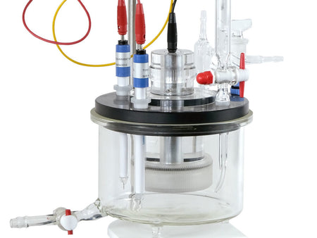 AMEL 500mL PMMA Large Volume Flat Sample Cell, Model 599 - MSE Supplies LLC