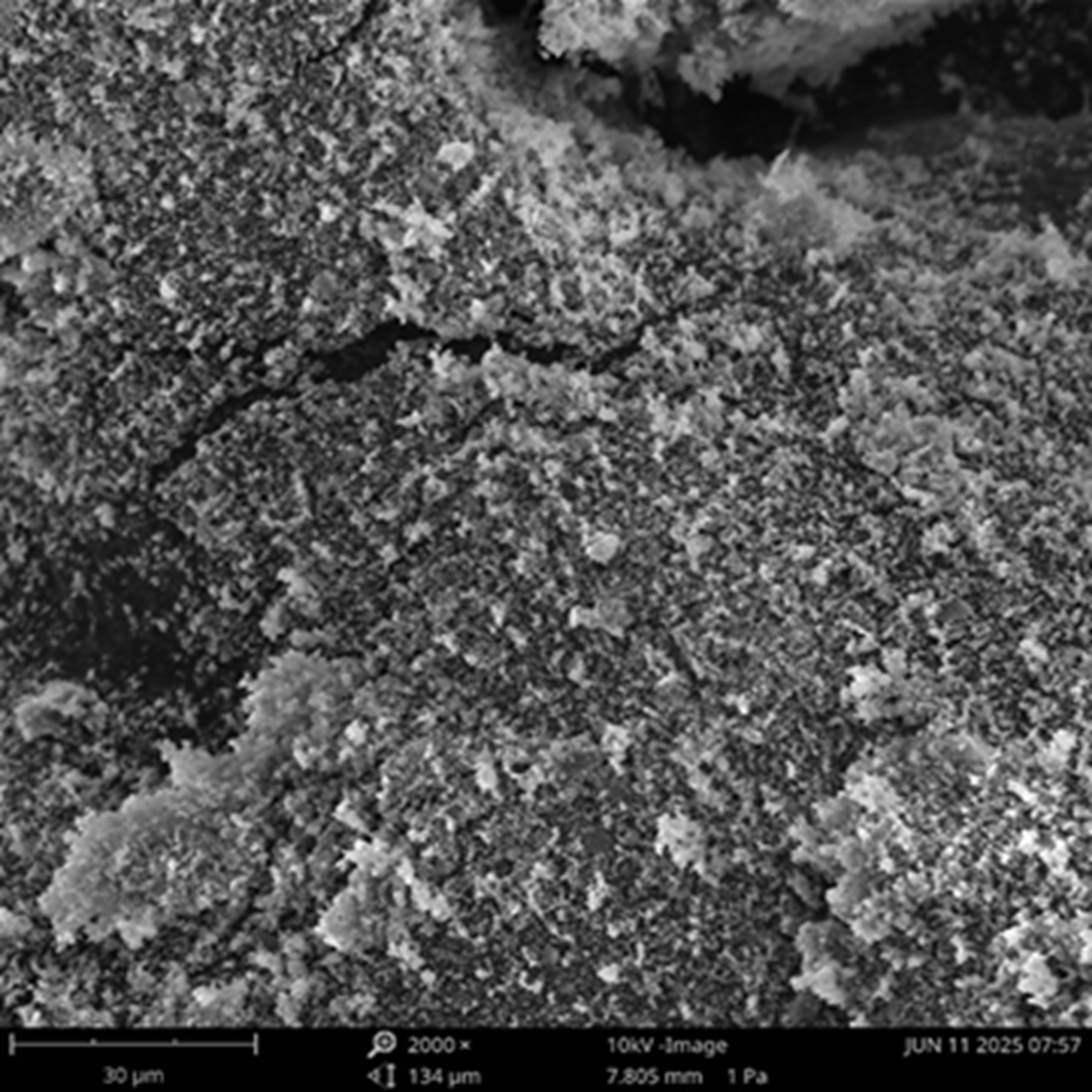 Ampcera® Argyrodite Li6PS5Cl Sulfide Solid Electrolyte, Nano Powder D50 600-800 nm - Battery Consumables - Ampcera - MSE Supplies