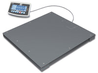 Kern Floor Scale BFB 1T-4NM, Balances and Scales, Kern, MSE Supplies