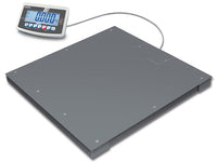Kern Floor Scale BFB 600K-1SNM, Balances and Scales, Kern, MSE Supplies