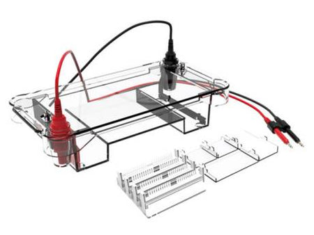 MSE PRO 700ml Horizontal Electrophoresis Tank Buffer Volume