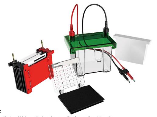 MSE PRO 700ml Western Blot Electrophoresis Tank