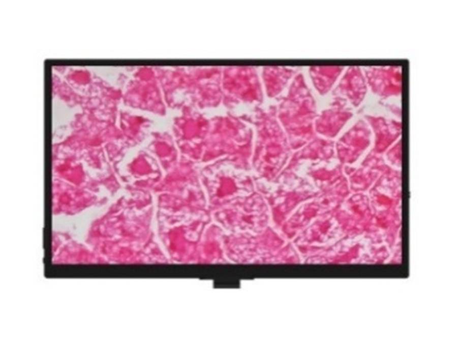 MSE PRO SMK-1103 All-in-one LCD Camera, Biological Microscopes, MSE Supplies LLC, MSE Supplies