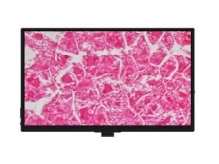 MSE PRO SMK-1103 All-in-one LCD Camera, Biological Microscopes, MSE Supplies LLC, MSE Supplies