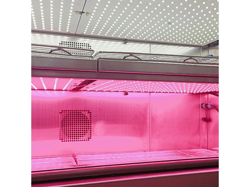 JIUPO 1000L Plant Growth Chamber, Incubators and Environmental Chambers, JIUPO, MSE Supplies