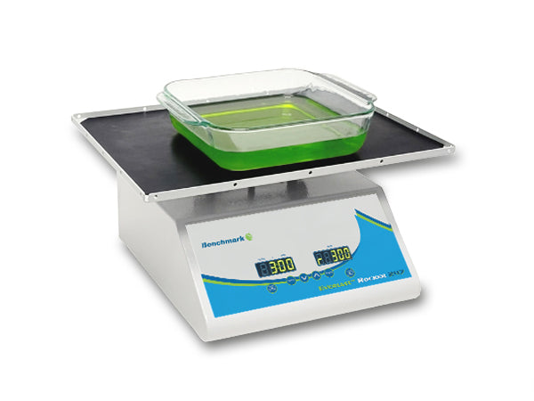 Benchmark 2D Everlast 247 Rocker - MSE Supplies LLC