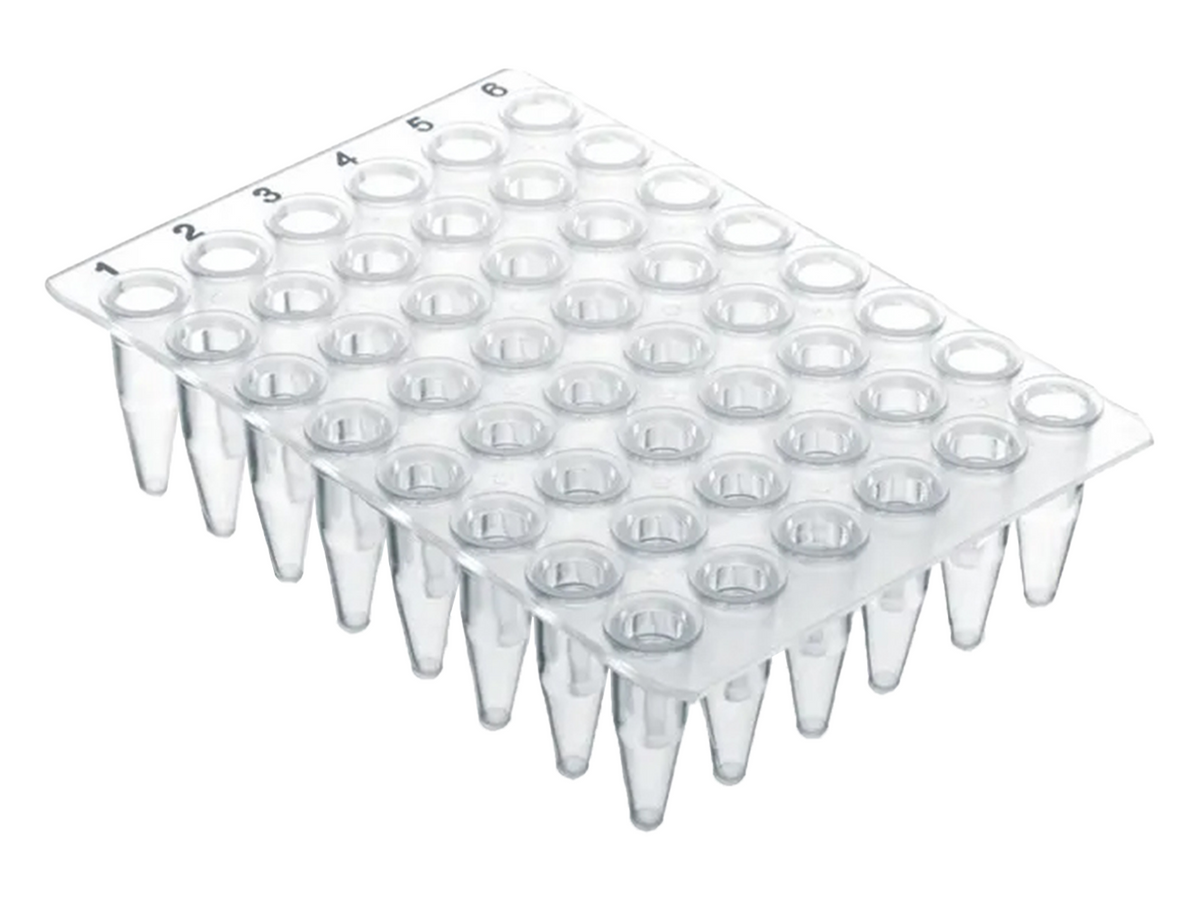 BrandTech PCR Plate 48-Well, PP, 0.2 ml, Without Skirt, BIO-CERT® PCR QUALITY, PCR Products, BrandTech, MSE Supplies