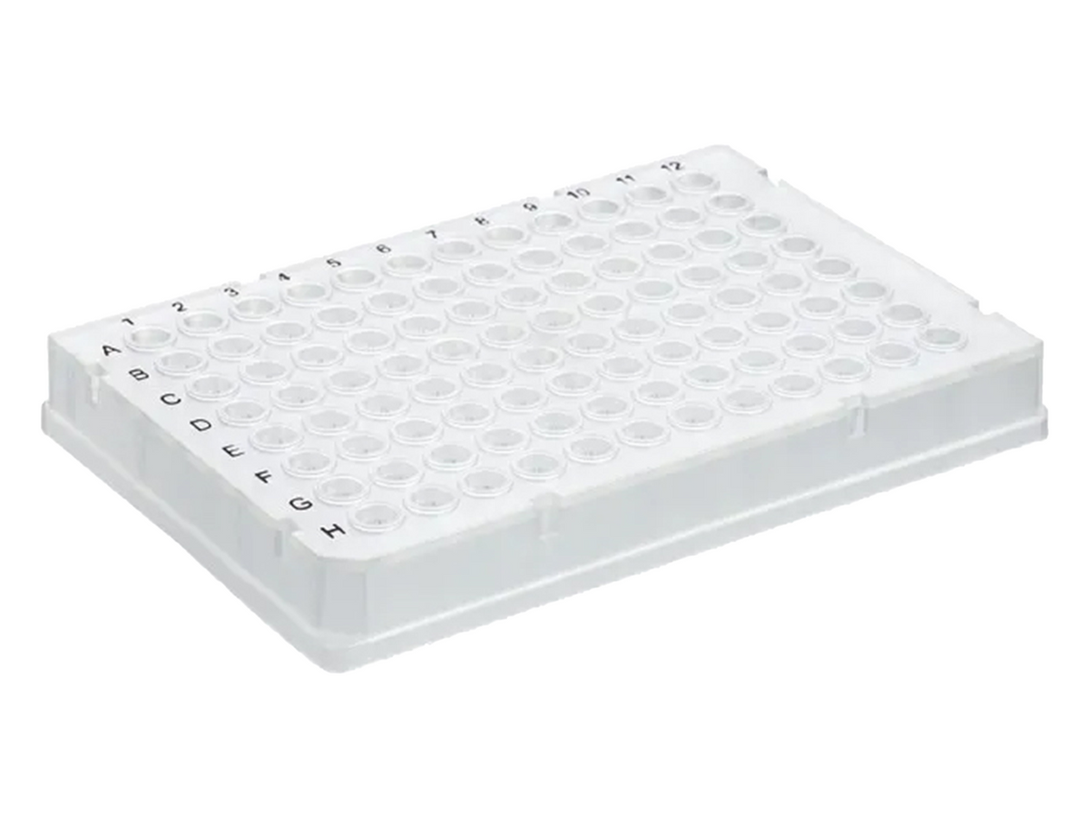 BrandTech PCR Plate 96-Well, Rigid Frame, PC/PP, BIO-CERT® PCR QUALITY, PCR Products, BrandTech, MSE Supplies
