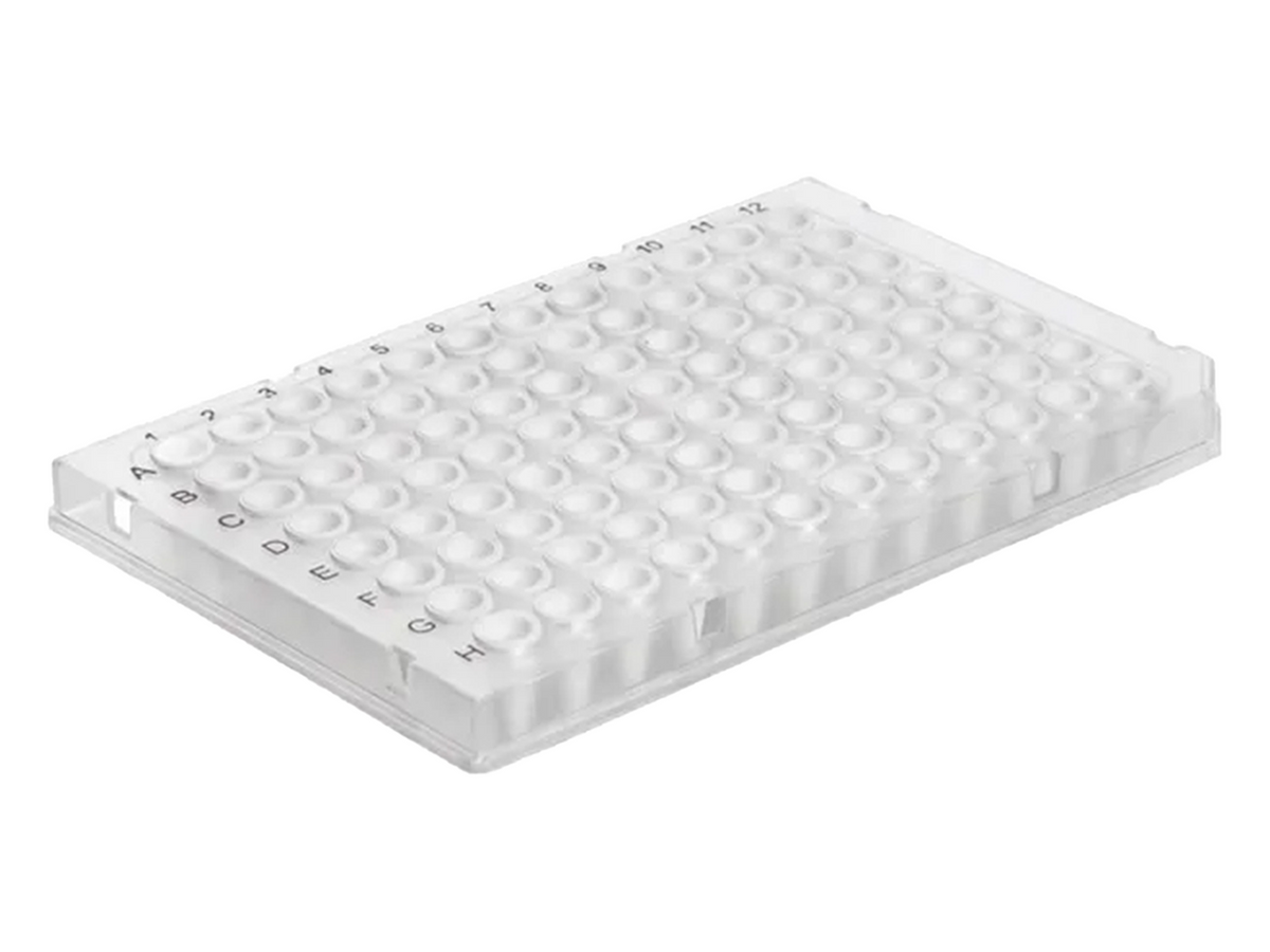 BrandTech PCR Plate 96-Well, Rigid Frame, PC/PP, BIO-CERT® PCR QUALITY, PCR Products, BrandTech, MSE Supplies