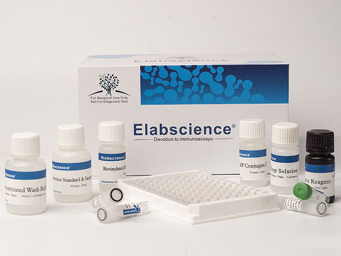 Bovine TG(Thyroglobulin)ELISA Kit, Cell Assays, Elabscience Biotechnology, MSE Supplies
