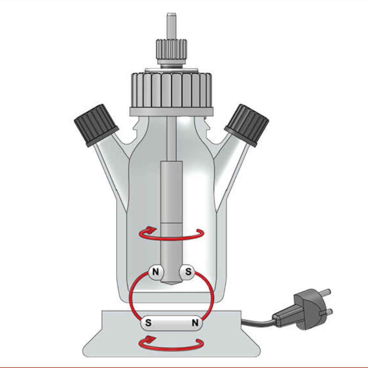 BOLA Culture Bottles (GLAS/PTFE ) - 50 ml, GL 45, 2x GL 14