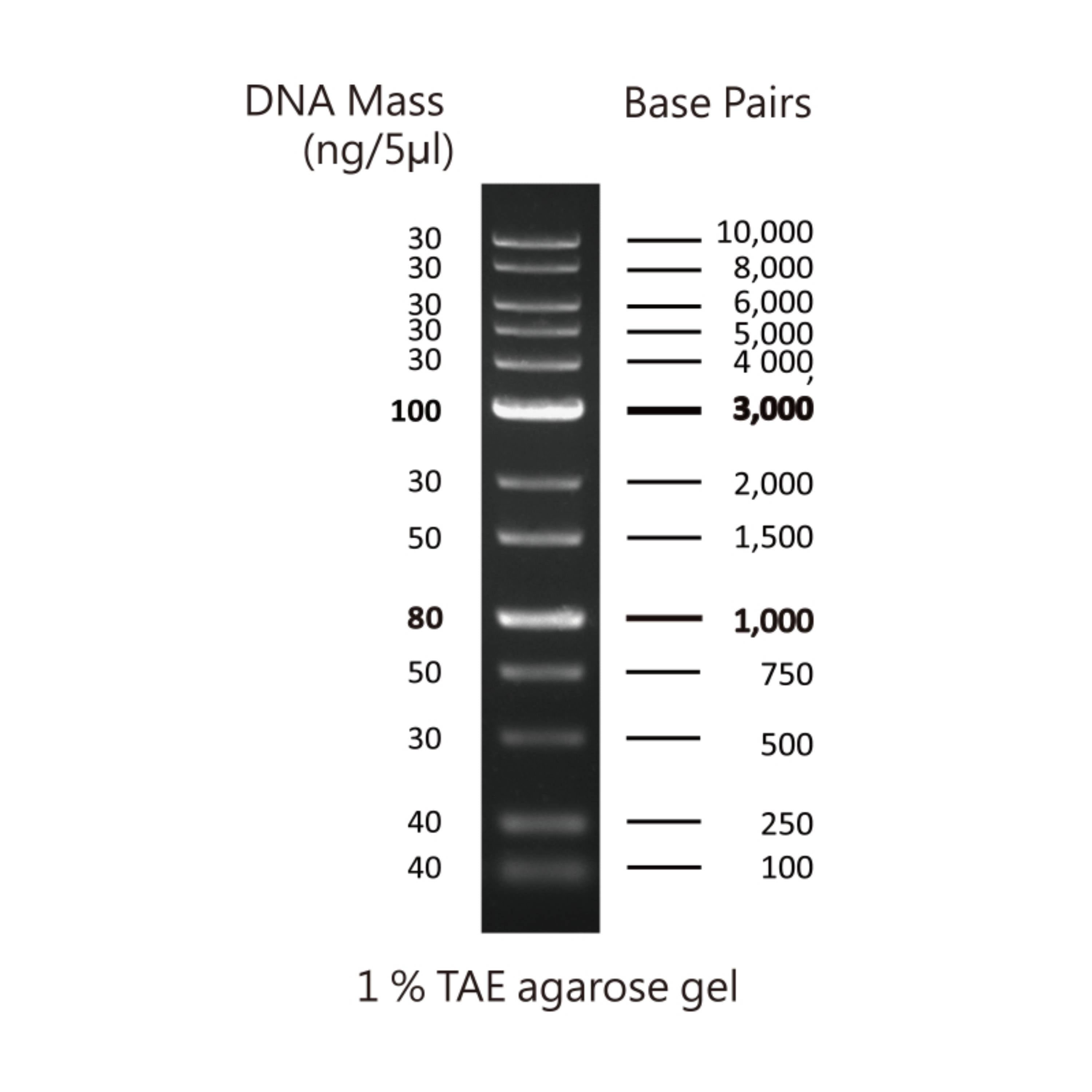 Cleaver Scientific multiSUB Choice Complete Agarose Gel Kits